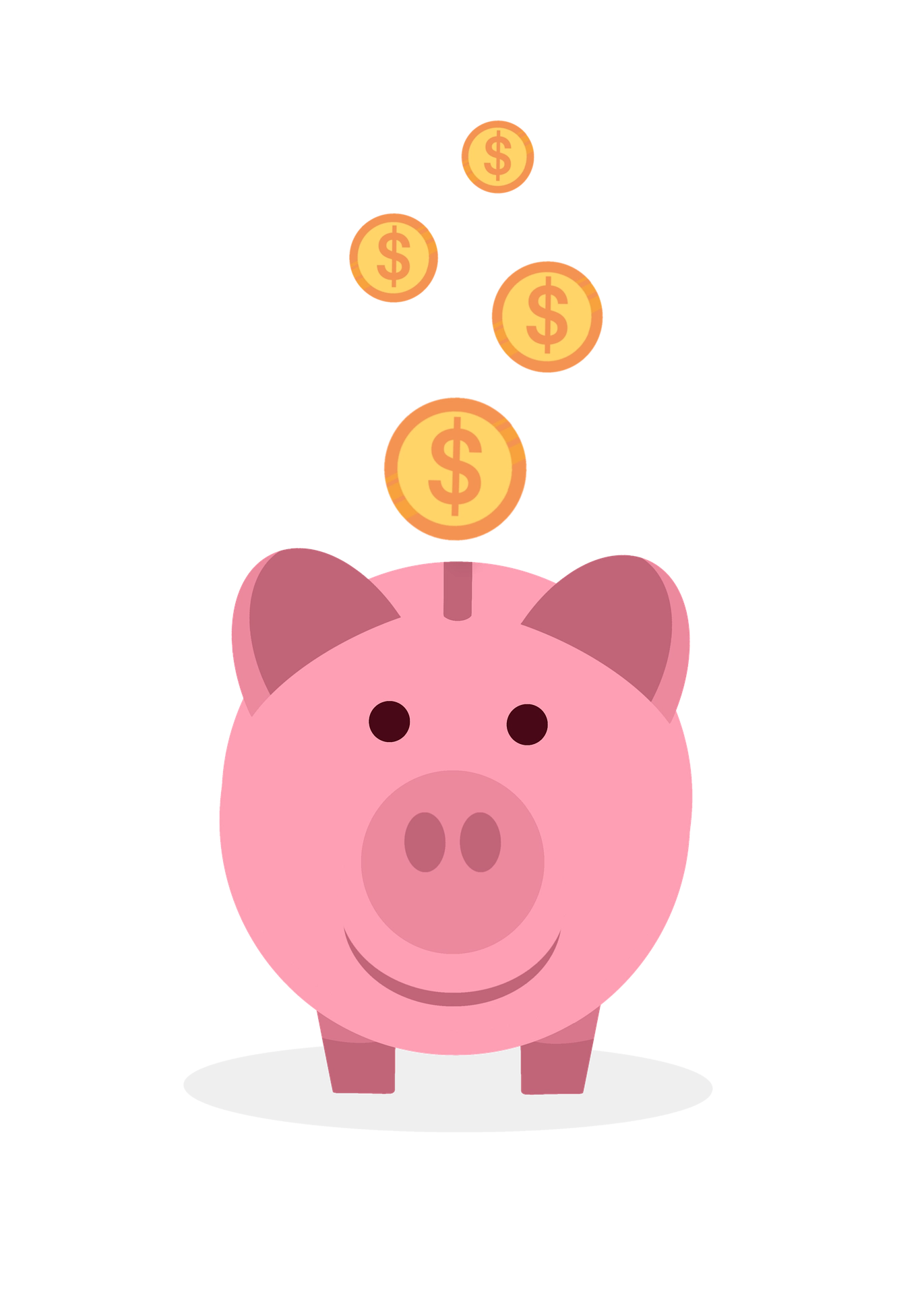 Návrh rozpočtu 2026